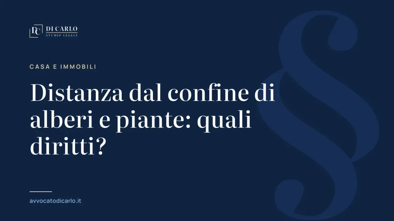 Distanza dal confine di alberi e piante: quali diritti?