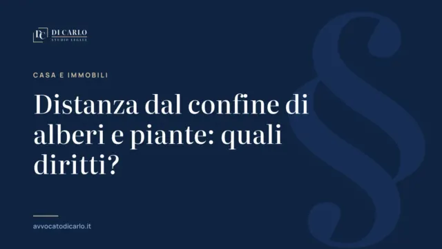 Distanza dal confine di alberi e piante: quali diritti?