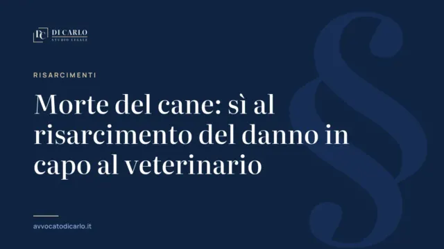 Morte del cane: sì al risarcimento del danno in capo al veterinario