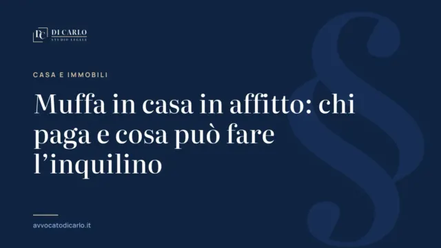 Muffa in casa in affitto: chi paga e cosa può fare l’inquilino