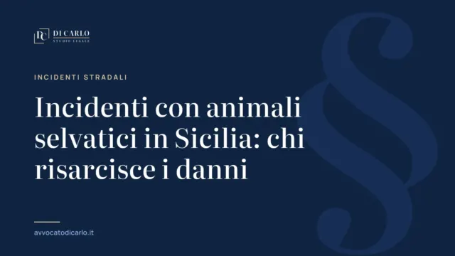 Incidenti con animali selvatici in Sicilia: chi risarcisce i danni