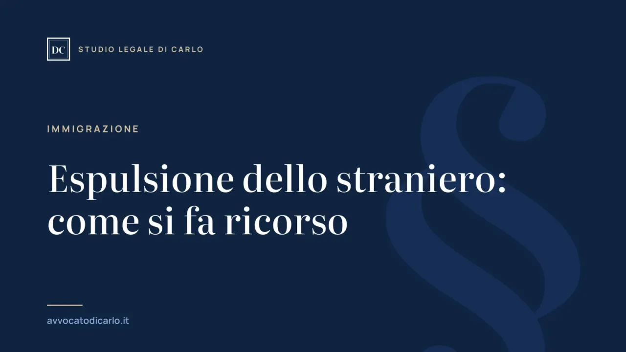 Espulsione dello straniero: come si fa ricorso