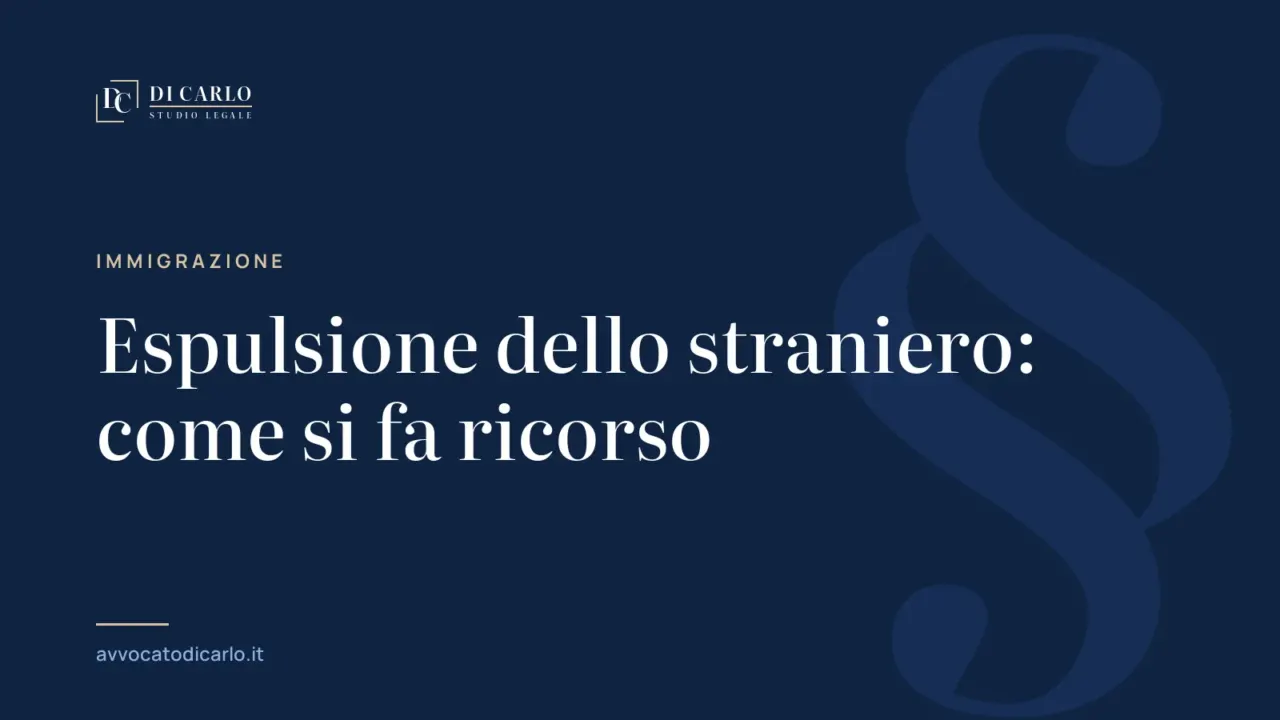 Espulsione dello straniero: come si fa ricorso