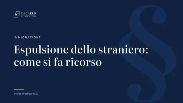 Espulsione dello straniero: come si fa ricorso