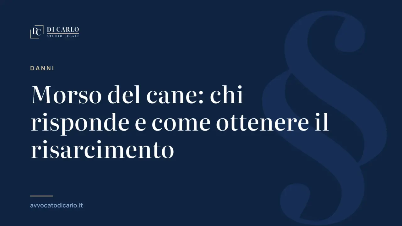 Morso del cane: chi risponde e come ottenere il risarcimento
