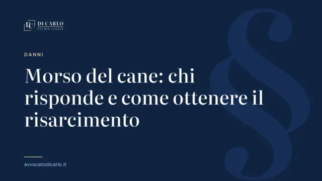 Morso del cane: chi risponde e come ottenere il risarcimento